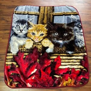 Cats in a Basket Throw Blanket Rectangular 49"x58" Brown Red Super Soft Plush